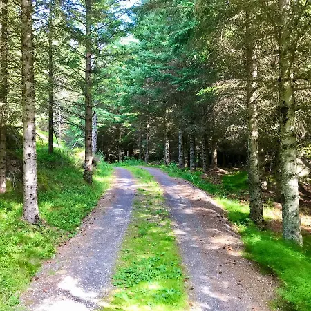 Eagle Bay Lofoten Chalet *