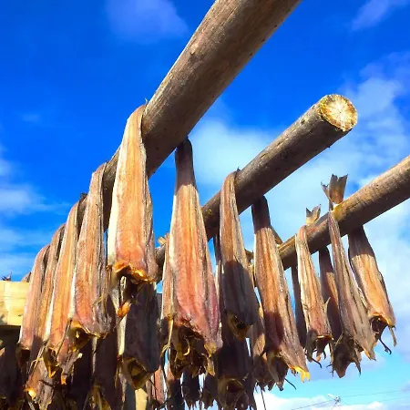 Chalet Eagle Bay Lofoten *